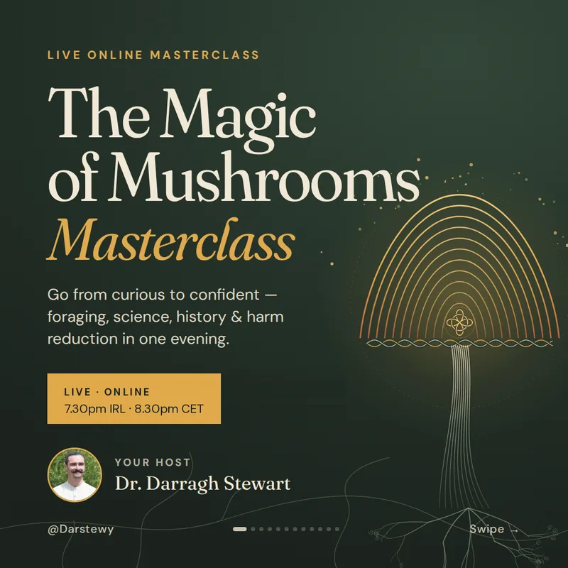The Magic of Mushrooms Masterclass, live online with Dr. Darragh Stewart